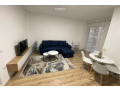 apartament-me-qera-11-tek-rruga-dritan-hoxha-id-b2101640-tirane-small-0