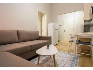 Vile Me Qera 1+1 Tek Zogu i Zi (ID BV22606) Tirane