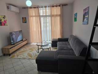 Apartament Me Qera 1+1 Tek Komuna e Parisit (ID B2101643) Tirane
