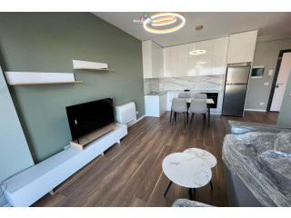 Apartament Me Qera 1+1 Tek Ish Dogana (ID B2101646) Tirane