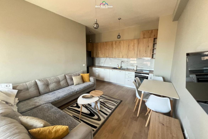 apartament-me-qera-11post-parkimi-prane-shkolles-se-kuqe-qeraqeraqeraidididididi-big-0