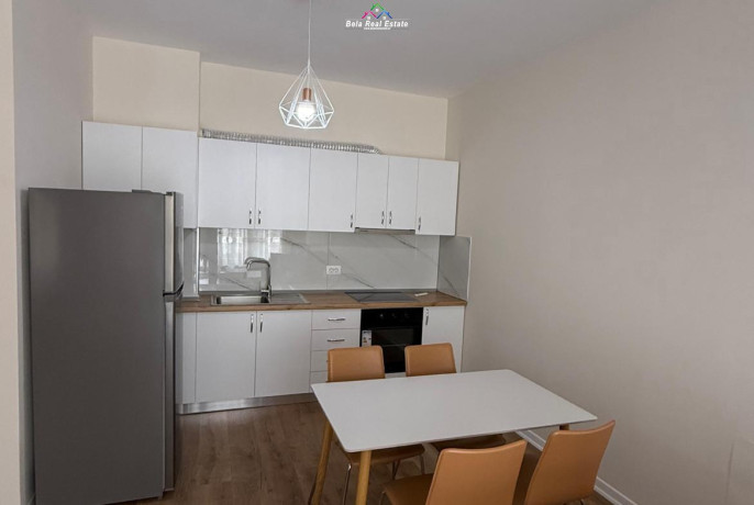 apartament-me-qera-11-tek-5-maji-id-b2101650-tirane-big-2