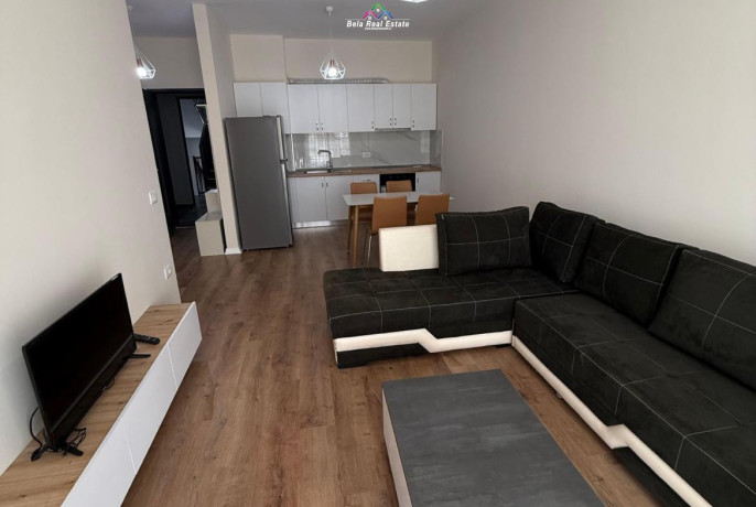apartament-me-qera-11-tek-5-maji-idqeraqeraqeraididididi-big-0