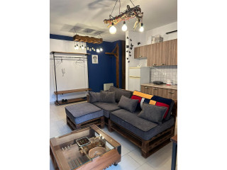 Apartament Me Qera 1+1 Tek Kopshti Zoologjik (ID , qeraaaaaaaaaa