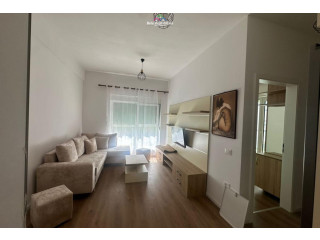 Apartament Me Qera 1+1 Tek Ali Demi (ID B2101662) Tirane