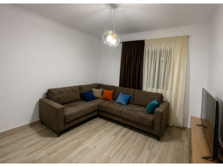 Vile Me Qera 1+1 Tek Ish Parku (ID BV22616) Tirane