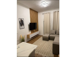 Apartament Me Qera 1+1 Ne Ali Dem (ID B2101673) Tirane