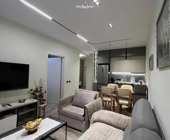 apartament-me-qera-11-ne-qender-id-qeraaaa-big-0