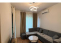apartment-me-qera-11-ne-5-maj-id-b2101682-tirane-small-0