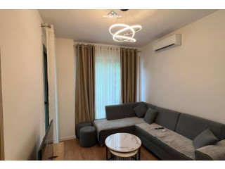 Apartment Me Qera 1+1 Ne 5 Maj (ID B2101682) Tirane