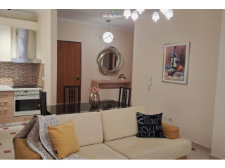 Apartament Me Qera 1+1 Tek Kopshti Zoologjik/Botanik (ID B2101702) Tirane...,,//////