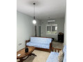 vile-2-kateshe-me-qera-ne-vore-id-bv22281-tirane-small-0