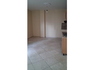 Zyre Me Qera 2+1 Tek Liqeni i Thate ( ID BZ2958) Tirane