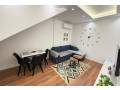 vile-me-qera-11-tek-rruga-e-durresit-id-bv22526-tirane-small-0