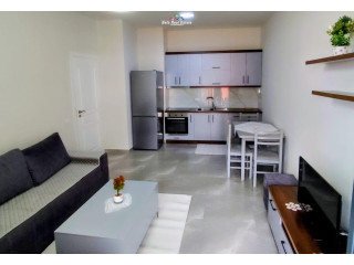 Apartament Me Qera 1+1 Tek Kompleksi ASL 1 (ID B2101713) Tirane