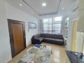 apartament-me-qera-11-tek-ish-tregu-elektrik-id-b211467-tirane-small-0