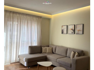 Apartament Me Qera 1+1 Tek Dritan Hoxha (ID B2101717) Tirane
