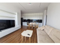 apartament-me-qera-21-ne-paskuqan-id-b2201916-tirane-small-0