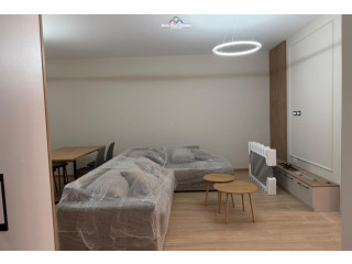 Apartament Me Qera 1+1 Tek Kopshti Zoologjik/Botanik ( ID B2101723) Tirane