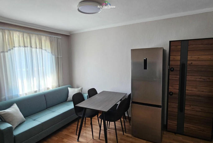 apartament-me-qera-11-tek-ish-tregu-elektrik-id-b211468-tirane-big-0