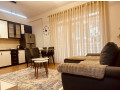 apartament-me-qera-11-tek-liqeni-i-thate-id-b210543-tirane-small-0