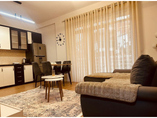 Apartament Me Qera 1+1 Tek Liqeni I Thate (ID B210543) Tirane