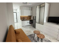 garsoniere-me-qera-tek-rruga-dritan-hoxha-id-bg170-tirane-small-0