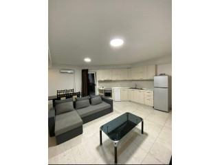 Apartament Me Qera 2+1 Tek Vasil Shanto (ID B220675) Tirane.