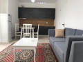 apartament-me-qera-11-tek-rruga-e-dibres-id-b210236-tirane-small-0