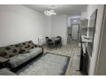 apartament-me-qera-11-tek-rruga-dritan-hoxha-id-b2101732-tirane-small-0
