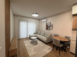 Apartement Me Qera 1+1 Tek Liqeni i Thate (ID B2101733) Tirane