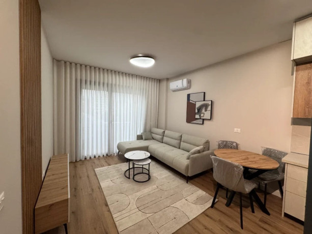 apartement-me-qera-11-tek-liqeni-i-thate-id-b2101733-tirane-big-0