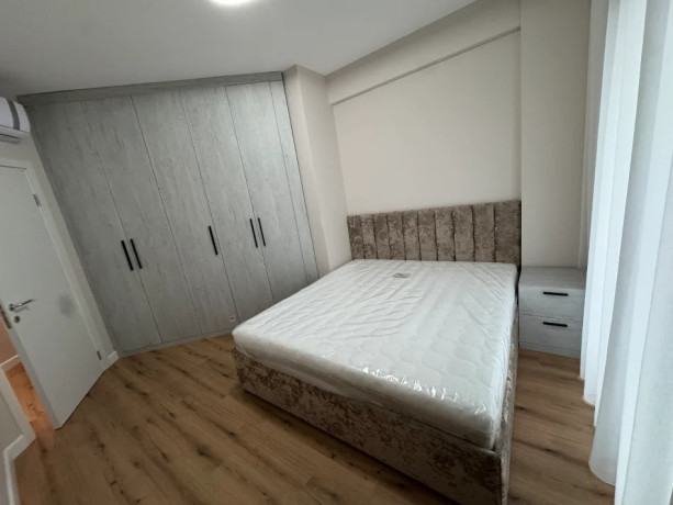 apartement-me-qera-11-tek-liqeni-i-thate-id-b2101733-tirane-big-1