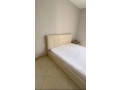 apartament-21-me-qera-ne-fresk-id-b220252-tirane-small-3