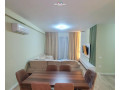 apartament-me-qera-21-tek-liqeni-i-thate-id-b2201936-tirane-small-0