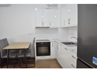 Apartament Me Qera 1+1 Ne Ali Dem (ID B2101743) Tirane