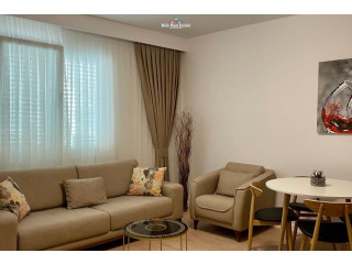 Apartament Me Qera 1+1 Tek Mine Peza (ID B211449) Tirane....