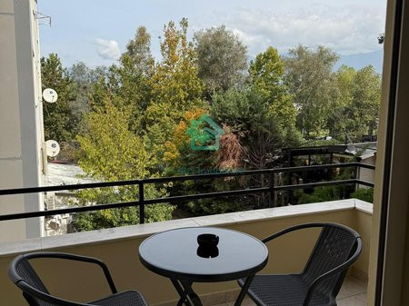 apartament-11-me-qira-ne-kopshti-botanik-zoologjik-tirane-big-3