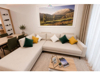 Apartament Me Qera 1+1 Ne Astir (ID B2101750) Tirane