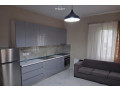 vile-me-qera-31-tek-rruga-e-elbasanit-id-bv22639-tirane-small-0