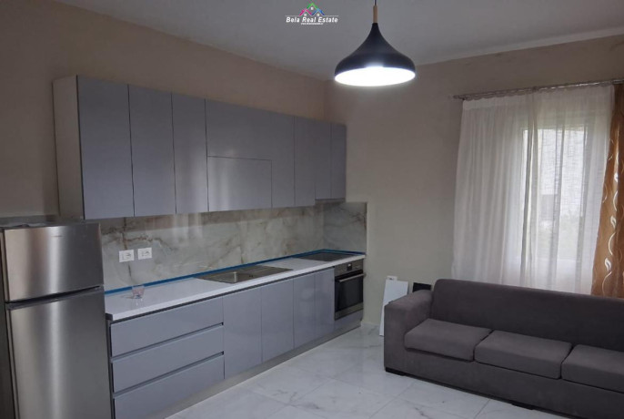 vile-me-qera-31-tek-rruga-e-elbasanit-id-bv22639-tirane-big-0