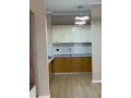 apartament-11-me-qira-ne-rruga-e-kosovareve-tirane-small-1