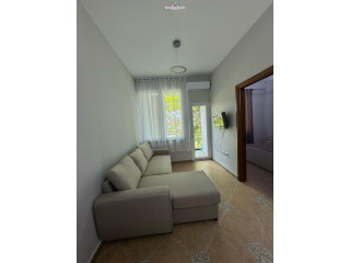 Apartament Me Qera 1+1 Tek Vilat Gjermane (ID B2101398) Tirane....