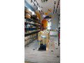 dyqan-me-qera-prane-ish-ekspozites-id-bd21920-tirane-small-0