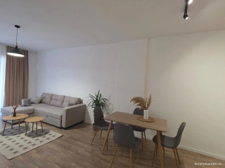 Apartament Me Qera 1+1 Tek Rruga Dritan Hoxha ( ID B2101759) Tirane1313..