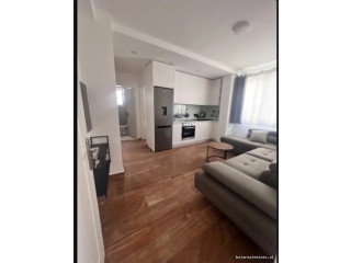 Vile Me Qera 1+1 Ne Sauk (ID BV22641) Tirane