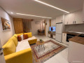 apartament-duplex-me-qera-11-tek-shkolla-e-kuqe-id-b2101760-tirane-small-0