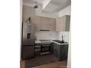Apartament Me Qera 1+1 Tek Ali Demi (ID B2101764) Tirane