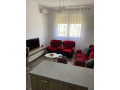 jepet-me-qera-apartament-11-tek-ish-fusha-e-aviacionit-id-b21090-tirane-small-0