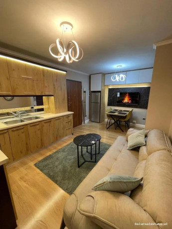 apartament-me-qera-21-prane-delijorgjit-id-b221437-tirane1212-big-0
